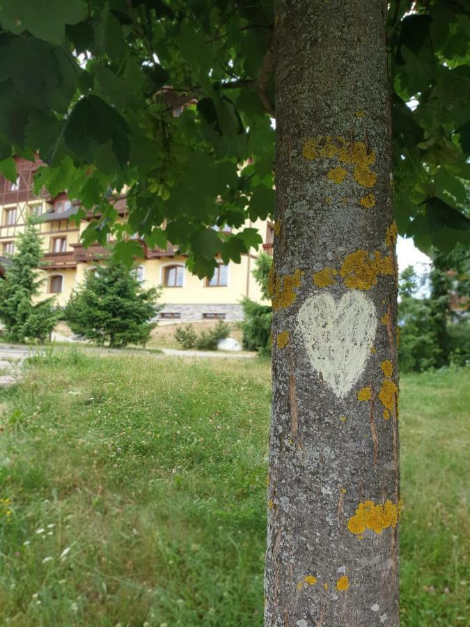 Apartman Erika Vel'ka Lomnica Buitenkant foto