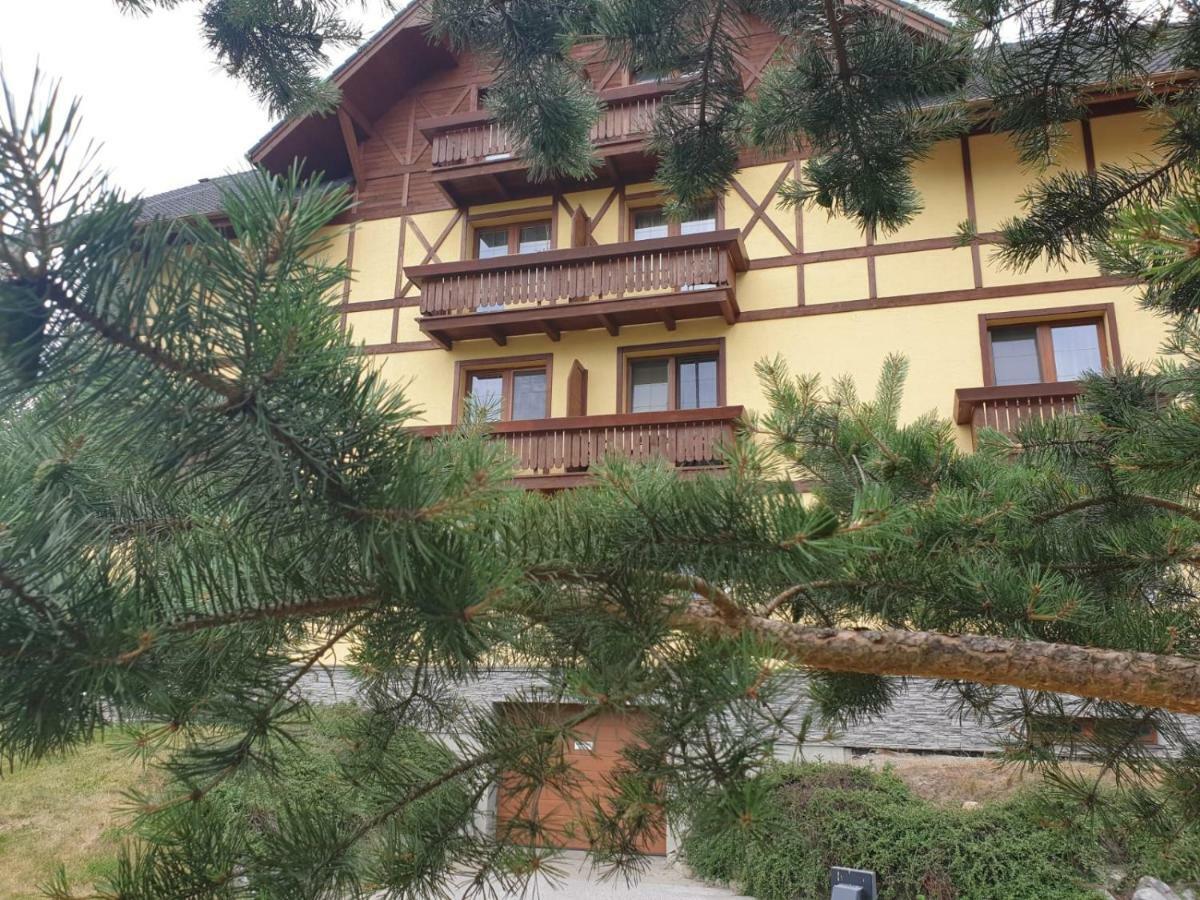Apartman Erika Vel'ka Lomnica Buitenkant foto